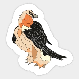 Gypaetus barbatus Sticker